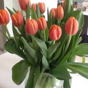 Meet your Posher, Trina